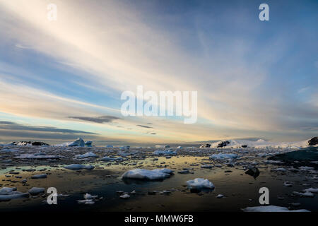 Eisberge im Meer gegen einen dramatischen Blau und bewölkter Himmel als Dämmerung Ansätze, Cierva Cove, Antarktis Stockfoto