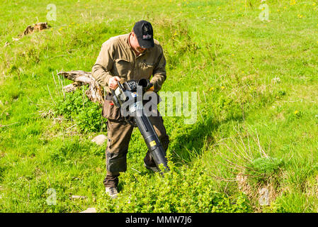 Glumslov, Schweden - 29 April, 2018: Dokumentation des täglichen Lebens und. Käfer Surveyor sammeln Käfer für Bestand, mit einem modifizierten leaf Vac Stockfoto