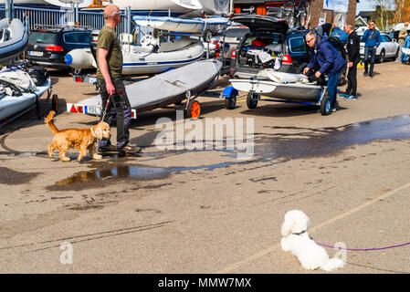 Raa-Hafen, Helsingborg, Schweden - 29 April, 2018: Dokumentation des täglichen Lebens und. Kleinen pelzigen weißen Hund im Vordergrund beobachten einen größeren Br Stockfoto