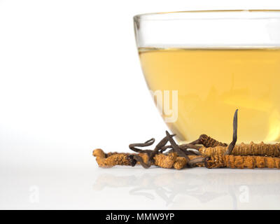 Wählen Sie Fokus der Pilz Cordyceps (CHONG CAO) diese Kräuter. Mit einem Glas Wasser, Wasser aus dem Ophiocordyceps sinensis Hinzufügen extrahieren. Arzneimittel Prop Stockfoto