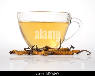 Wählen Sie Fokus der Pilz Cordyceps (CHONG CAO) diese Kräuter. Mit einem Glas Wasser, Wasser aus dem Ophiocordyceps sinensis Hinzufügen extrahieren. Arzneimittel Prop Stockfoto