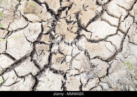 Crack Boden, auf trockene Jahreszeit, globale Erwärmung Wirkung. Textur. Stockfoto