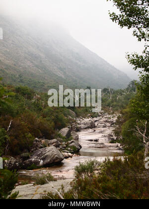 Tal des Flusses Homem, Peneda-Gerês Nationalpark im Norden Portugals Stockfoto