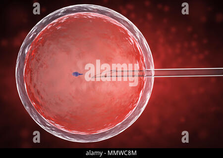 3D-Rendering ovum mit Nadel für künstliche Befruchtung, der In-vitro-Fertilisation Stockfoto