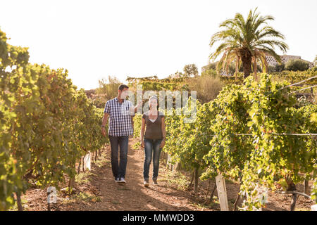 Ein Paar zu Fuß durch die Weinberge in Jeans und Casual Shirts an einem sonnigen Tag Stockfoto