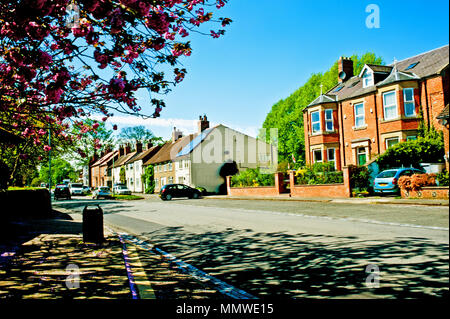 Hurworth onTees, Darlington, County Durham, Englnd Stockfoto