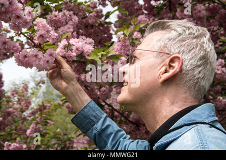 Senior Rentner genießen Sie einen wunderschönen Frühling Bäume im Central Park, New York City, USA Stockfoto