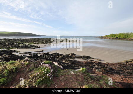 Sandy Haven, in der Nähe von Herbrandston, Pembrokeshire Wales UK Stockfoto