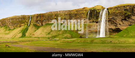 Cliff Landschaft im südlichen Island mit dem berühmten Seljalandsfoss. Stockfoto