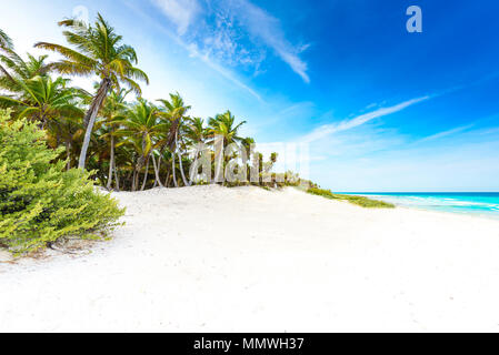 Paradise Strand mit schönen Palmen - Karibische Meer in Mexiko, Tulum Stockfoto