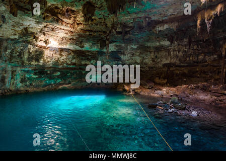 Cenote Dzitnup Samula in der Nähe von Valladolid, Yucatan, Mexiko - Schwimmen in kristallklarem Wasser Stockfoto