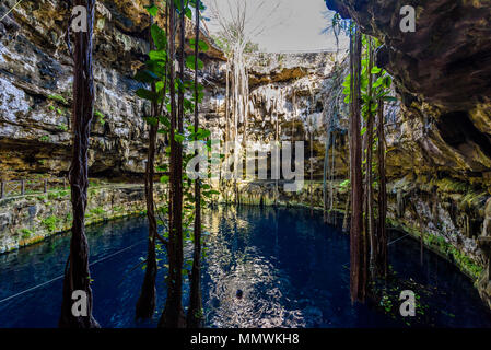 Cenote San Lorenzo Oxman in der Nähe von Valladolid, Yucatan, Mexiko. Schwimmen und Entspannen im tiefen türkisklares Wasser. Stockfoto