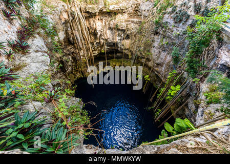 Cenote San Lorenzo Oxman in der Nähe von Valladolid, Yucatan, Mexiko. Schwimmen und Entspannen im tiefen türkisklares Wasser. Stockfoto