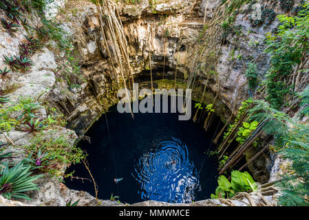 Cenote San Lorenzo Oxman in der Nähe von Valladolid, Yucatan, Mexiko. Schwimmen und Entspannen im tiefen türkisklares Wasser. Stockfoto