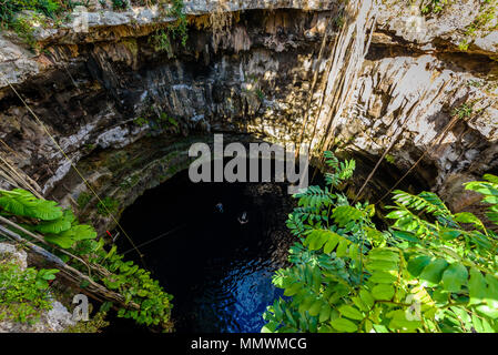 Cenote San Lorenzo Oxman in der Nähe von Valladolid, Yucatan, Mexiko. Schwimmen und Entspannen im tiefen türkisklares Wasser. Stockfoto