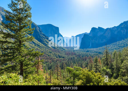 Blick auf das Yosemite Tal von Tunnel View Point bei Sonnenaufgang - Blick auf Bridalveil falls, El Capitan und Half Dome - Yosemite National Park in Kalifornien, Stockfoto