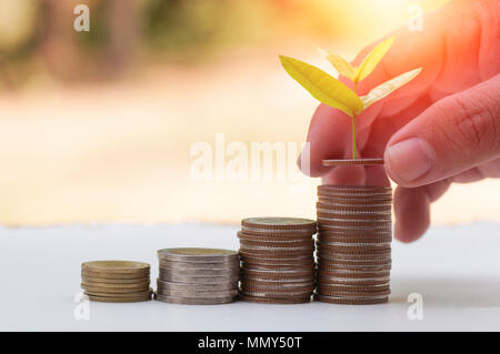 Hand Anpflanzung neuer Baum wächst auf und Geld Münzen gestapelt, Konzept als Erfolg und im Geschäft speichern Stockfoto