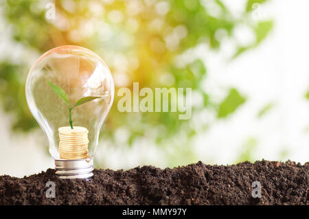 Das Pflanzen von Bäumen und Wachstum auf Geld Münzen, auf Glühbirne mit Boden gestapelt, Konzept in speichern World Environment Day Wiederaufforstung Eco Bio arbor CSR-ESG Stockfoto