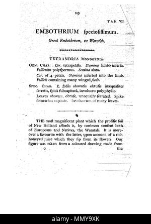 . Dies ist eine Seite von James Edward Smith's'' ein Muster der Botanik von New Holland, der erste separat veröffentlicht Buch über die Flora von Australien. Das Original ist in der Öffentlichkeit durch sein Thema mit einem großen vor vielen Jahren gestorben. Der Scan ist neu, aber da es sich um eine sklavische Kopie einer zweidimensionalen Arbeiten, und da die in den Usa durchgeführt wurde, es ist auch in der Public Domain. Ein Muster der Botanik von New Holland - S. 19 Stockfoto