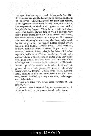 . Dies ist eine Seite von James Edward Smith's'' ein Muster der Botanik von New Holland, der erste separat veröffentlicht Buch über die Flora von Australien. Das Original ist in der Öffentlichkeit durch sein Thema mit einem großen vor vielen Jahren gestorben. Der Scan ist neu, aber da es sich um eine sklavische Kopie einer zweidimensionalen Arbeiten, und da die in den Usa durchgeführt wurde, es ist auch in der Public Domain. Ein Muster der Botanik von New Holland - S. 26 Stockfoto