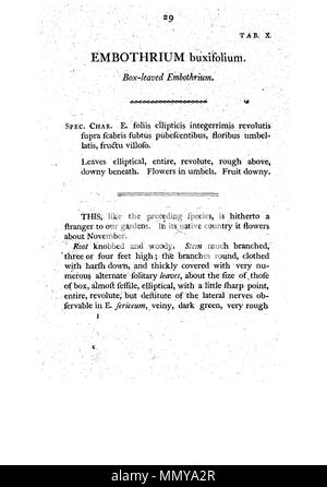 . Dies ist eine Seite von James Edward Smith's'' ein Muster der Botanik von New Holland, der erste separat veröffentlicht Buch über die Flora von Australien. Das Original ist in der Öffentlichkeit durch sein Thema mit einem großen vor vielen Jahren gestorben. Der Scan ist neu, aber da es sich um eine sklavische Kopie einer zweidimensionalen Arbeiten, und da die in den Usa durchgeführt wurde, es ist auch in der Public Domain. Ein Muster der Botanik von New Holland - S. 29 Stockfoto