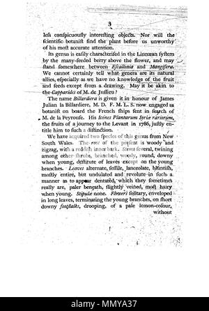 . Dies ist eine Seite von James Edward Smith's'' ein Muster der Botanik von New Holland, der erste separat veröffentlicht Buch über die Flora von Australien. Das Original ist in der Öffentlichkeit durch sein Thema mit einem großen vor vielen Jahren gestorben. Der Scan ist neu, aber da es sich um eine sklavische Kopie einer zweidimensionalen Arbeiten, und da die in den Usa durchgeführt wurde, es ist auch in der Public Domain. Ein Muster der Botanik von New Holland - s. 3 Stockfoto