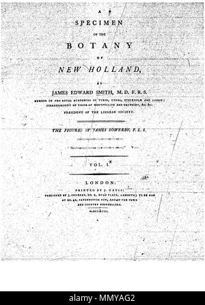 . Dies ist eine Seite von James Edward Smith's'' ein Muster der Botanik von New Holland, der erste separat veröffentlicht Buch über die Flora von Australien. Das Original ist in der Öffentlichkeit durch sein Thema mit einem großen vor vielen Jahren gestorben. Der Scan ist neu, aber da es sich um eine sklavische Kopie einer zweidimensionalen Arbeiten, und da die in den Usa durchgeführt wurde, es ist auch in der Public Domain. Ein Muster der Botanik von New Holland - s. i Stockfoto