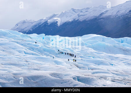 Touren Wandern auf den Gletscher Perito Moreno, Parque Nacional Los Glaciares, Argentinien Stockfoto