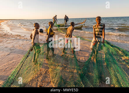 Die handwerklichen Fischer in Mosambik haul out die Netze, in denen die Tage fangen. Stockfoto