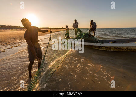 Lokale Fischer in Inhassoro Mosambik ziehen Netze ein. Stockfoto