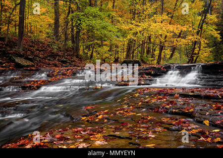 Ein kleiner Wasserfall auf Brandywine Creek in der Cuyahoga Valley National Park Ohio. Hier im Herbst mit bunten Laub gesehen. Stockfoto