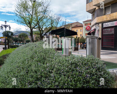 OVIEDO, SPANIEN - April 08, 2018: Getrennte garbage collection Metallic zylinderförmige Behälter auf der Straße hinter dekorative Bush Hedge, Oviedo, Spanien. Stockfoto