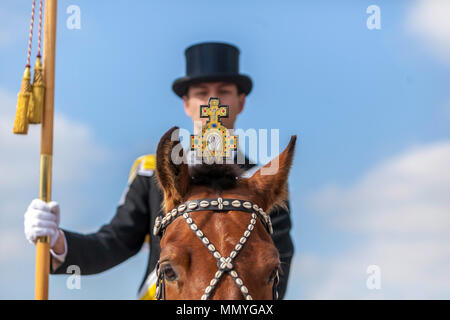 Blutritt, Weingarten, Deutschland, mit 2500 Pferden, zu Ehren eines Blut Relikt. Die Wallfahrt ist der größte Equestrian Prozession in Europa. Stockfoto