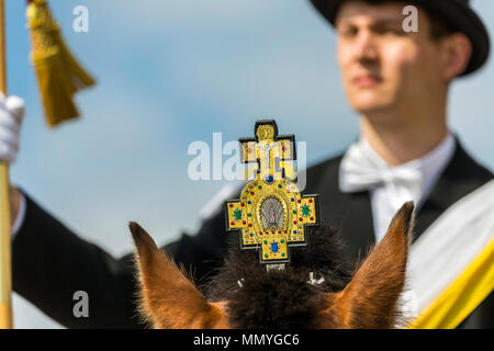 Blutritt, Weingarten, Deutschland, mit 2500 Pferden, zu Ehren eines Blut Relikt. Die Wallfahrt ist der größte Equestrian Prozession in Europa. Stockfoto