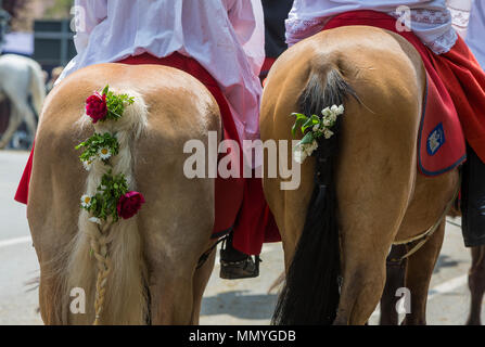 Blutritt, Weingarten, Deutschland, mit 2500 Pferden, zu Ehren eines Blut Relikt. Die Wallfahrt ist der größte Equestrian Prozession in Europa. Stockfoto