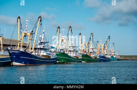 Hafen von Oudeschild mit angedockten Fischerboote auf der Insel Texel, Niederlande. Stockfoto