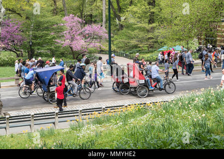 New Yorker fragen Touristen genießen das Wetter im Frühling entlang der East Drive im Central Park, New York City, USA Stockfoto