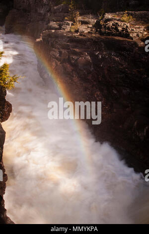 Rainbow an Mäßigung fällt Stockfoto