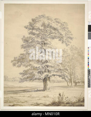 Ansicht im Stoke Park, in der Nähe von Windsor. zwischen ca. 1790 und ca. 1810. Hendrik Frans de Cort-Ansicht im Stoke Park, in der Nähe von Windsor Stockfoto