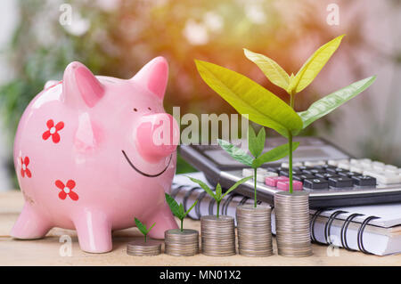 Neuen Baum aufwachsen und von Geld Münzen mit rosa Sparschwein und Taschenrechner auf Tisch gestapelt, Konzept als Erfolg und im Geschäft speichern Stockfoto
