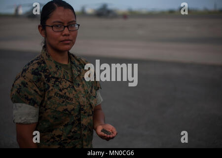 Lance Cpl. Jeanette E. Fernando hält eine Handvoll Sand von ihrer Reise nach Iwo Jima, 1. August 2017 entnommen, in der Marine Corps Air Station Futenma, Okinawa, Japan. Fernando und andere Marinen in ihrer Staffel hatten die Möglichkeit, die Schlachtfelder, an dem Fernando's Großvater zu besuchen, ein Navajo Code Talker, während des Zweiten Weltkrieges kämpfte Fernando ist eine flugzeugzelle Mechaniker Marine Light Attack Helicopter Squadron 169, Marine Flugzeuge Gruppe 39, 3. Marine Flugzeugflügel zugeordnet, die derzeit auf einer Einheit Deployment Program mit 1 MAW in Okinawa, Japan. (U.S. Marine Corps Foto von Lance Cpl. Ein Stockfoto