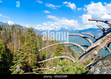 Blick von der Moro Rock - Wandern im Sequoia National Park, Kalifornien, USA Stockfoto