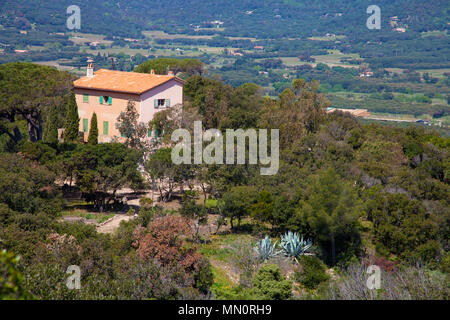 Typisch französische Country Home in Portes am Golf von Saint Tropez, Cote d'Azur, Départements Var, Provence-Alpes-Côte d'Azur, Südfrankreich, Frankreich Stockfoto