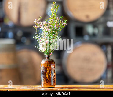 Frisches Wild wachsende Blumen in einer braunen Flasche mit grossen Fässer im Hintergrund Stockfoto