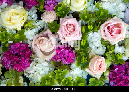 Hintergrund der hellen Pastelltönen Blumen und Rosen in Rosa, Weiß und Grün. Stockfoto