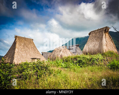 Wologai ethnischen Geistlichen Dorf auf der Insel Flores. Eine traditionelle Häuser im Dorf in der Nähe von Wologai Kelimutu in Ost Nusa Tenggara, Indonesien. Stockfoto