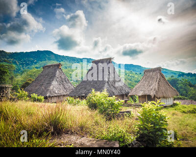 Wologai ethnischen Geistlichen Dorf auf der Insel Flores. Eine traditionelle Häuser im Dorf in der Nähe von Wologai Kelimutu in Ost Nusa Tenggara, Indonesien. Stockfoto