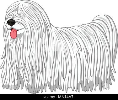 Komondor Hunderasse Stock Vektor
