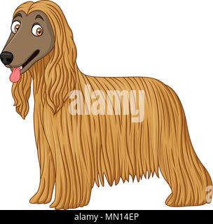 Afghan Hound Dog Stock Vektor