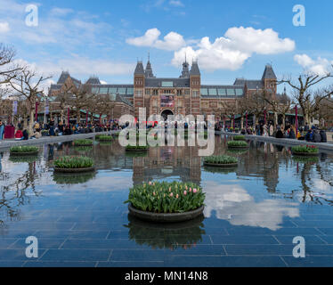 Bündel von Tulpen im Pool vor dem Rijksmuseum, Amsterdam Stockfoto